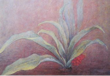 清水敏守　作品　万年青(おもと)