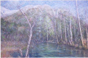 今野隆司　作品　岳沢湿原/P10