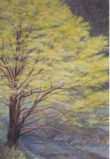 清水敏守　作品　東風吹く頃