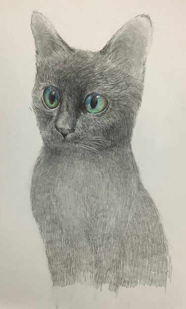 　中島健祐　作品６